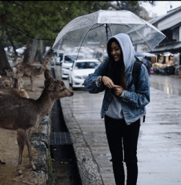 Screen Shot 2018-10-19 at 9.14.07 AM.png